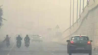 Delhi-NCR pollution: Stubble burning happening due to failure of 4 state govts, says NHRC
