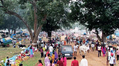 Karnataka: NTCA seeks report on fair inside Bandipur