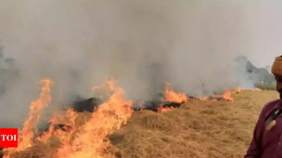 Over 43,000 crop burning cases in Punjab