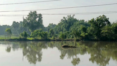 Thousands of hectares of crops in Tamil Nadu under water