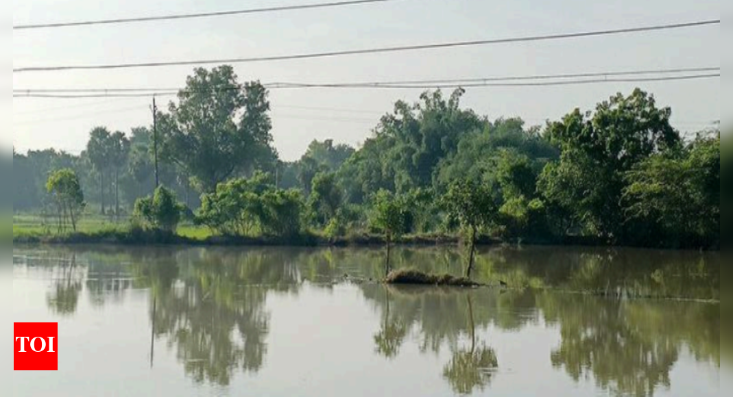 Thousands of hectares of crops in Tamil Nadu under water | Trichy News ...
