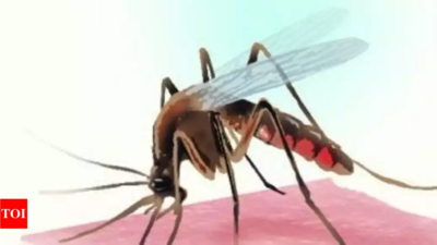 ‘Comorbidity major cause of dengue deaths in Assam’