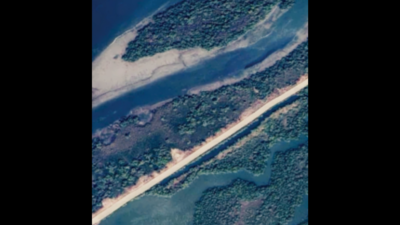 Navi Mumbai: 1 acre CRZ land, mangroves lost to sand mafia