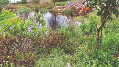 Mysuru: Construction debris leaves lake in Kergalli contaminated