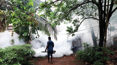 Goa sees steady drop in dengue cases, but infection concentrated in migrant settlements