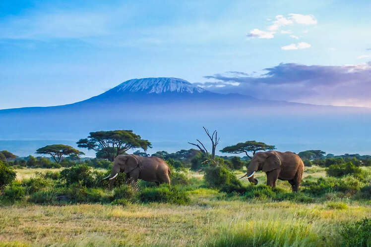 Tanzania