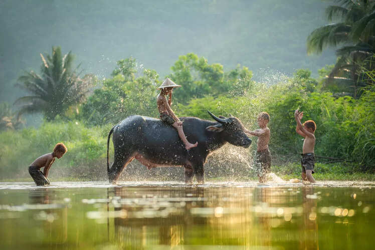 Laos