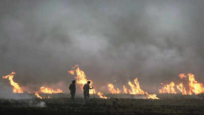 Ludhiana district reports 55% decrease in stubble burning this year