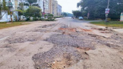 Uttar Pradesh: Poor roads causing misery for past 3 years, say residents