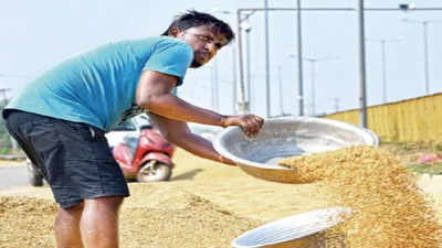 Telangana: Bumper paddy proves to be boon & bane for ryots