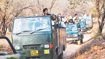Rajasthan: To check nexus of travel agents, safari booking system upgraded