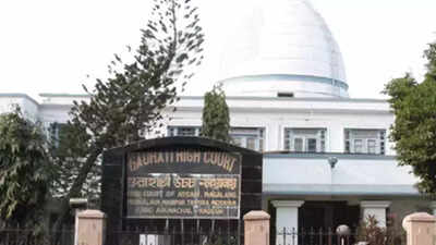 56 killed, 145 hurt in cop action from May last year to August: Assam to Gauhati high court