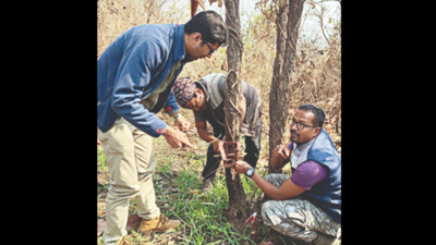 In Kamrup-Metro district, leopard census only strategy to check conflict with humans
