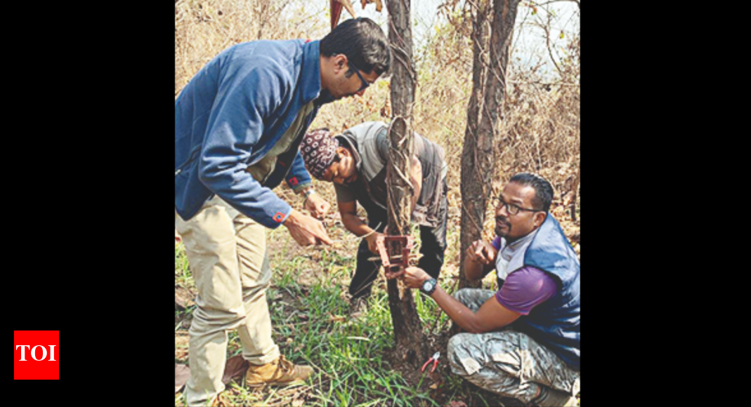 Kamrup: In Kamrup-m Dist, Leopard Census Only Strategy To Check