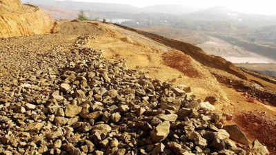 Goa government seeks SC nod to handle ore dumps