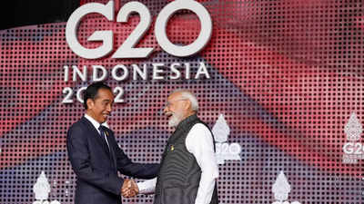At G20 summit, PM Modi calls for dialogue and diplomatic solution to Ukraine war: Key points