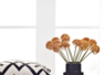 5 must buy decor items for your new house