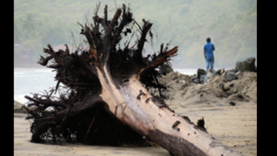 Goa: Excessive sand mining sees Mandovi river banks collapse in 12 villages