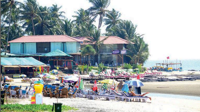 Goa: Co-working space on four beaches approved, one within turtle centre