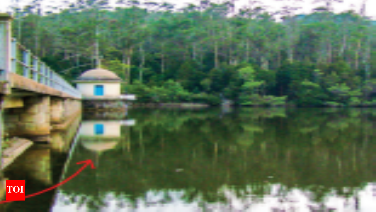 Ooty: The hills are still alive. And Ooty wants to keep it that way |  Chennai News - Times of India