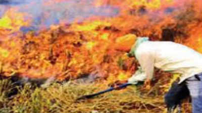 Punjab cracks whip on farm fires, activists resist