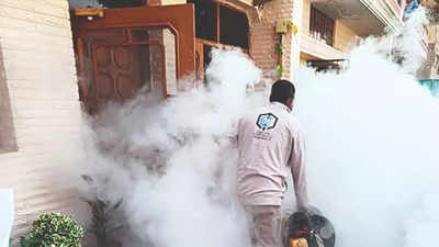 Haryana dengue cases rising, hit Panchkula worst