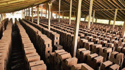 Karnataka: Greens want construction with burnt bricks stopped