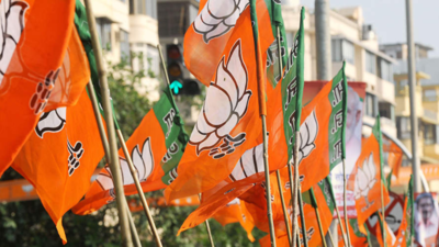 Discontent in Delhi BJP as 3 districts heads changed