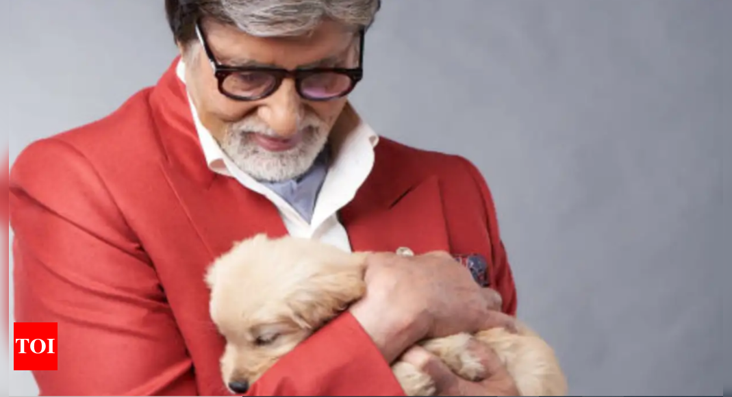 Amitabh Bachchan loses pet dog, shares heartbreaking post on social media – Times of India