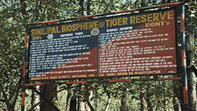 Odisha: Similipal Tiger Reserve authorities plans better salt licks to lure animals
