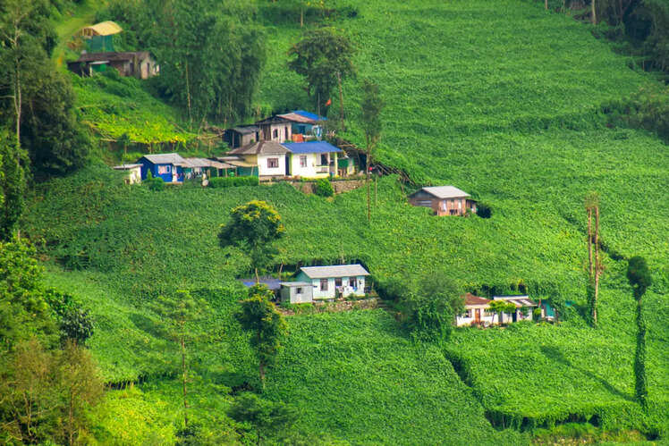 Mirik
