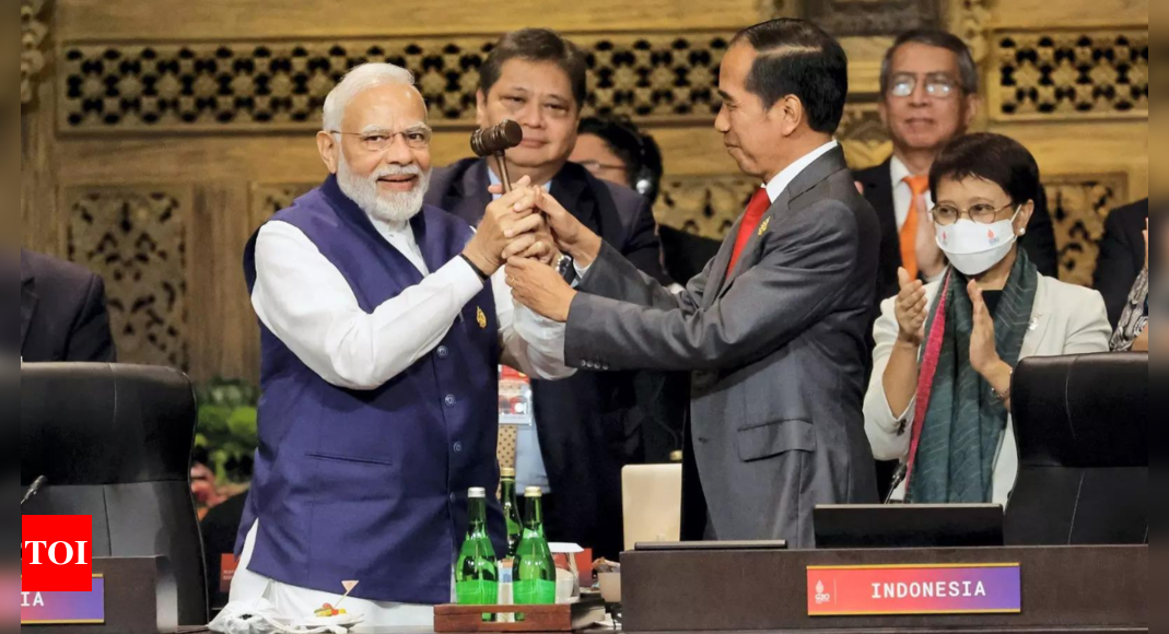 India assumes G20 presidency What it means India News Times of India