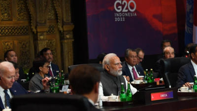 G20 declaration reflects differences among members over Russia-Ukraine conflict