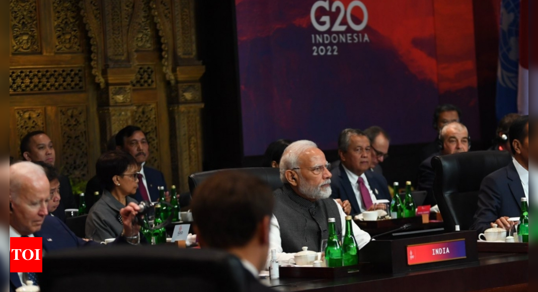 G20 declaration reflects differences among members over Russia-Ukraine conflict – Times of India