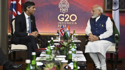 UK PM Rishi Sunak indicates trade deal with India could take some time