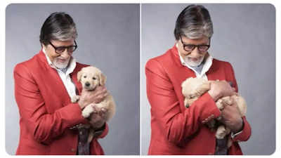 Did Amitabh Bachchan lose his pet dog? Actor’s emotional post melts netizen's hearts