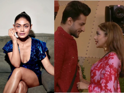 Bigg Boss 16: Sreejita De calls Shalin Bhanot and Tina Datta’s romantic strategy ‘boring’; tweets 'Think of something more real guys'