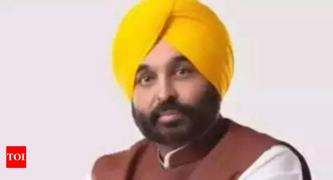 Punjab CM Bhagwant Mann bats for Bharat Ratna to Bhagat Singh, Kartar ...