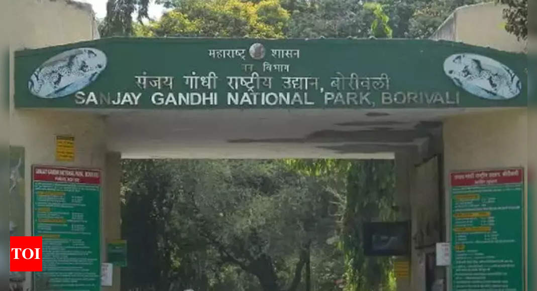 Lion couple from Gujarat to reach Sanjay Gandhi National Park this