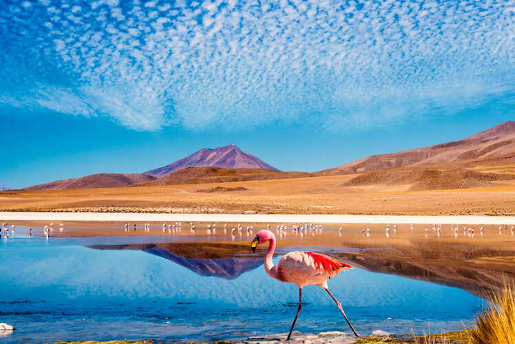 Bolivia