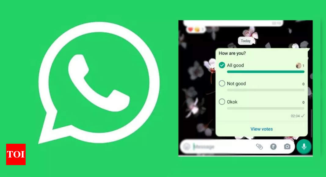 How to create in-chat Polls on WhatsApp – Times of India