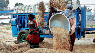 Telangana's rural inflation highest in country