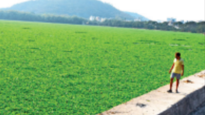 Pune: New drainage lines, STPs on cards at Katraj, Pashan lakes