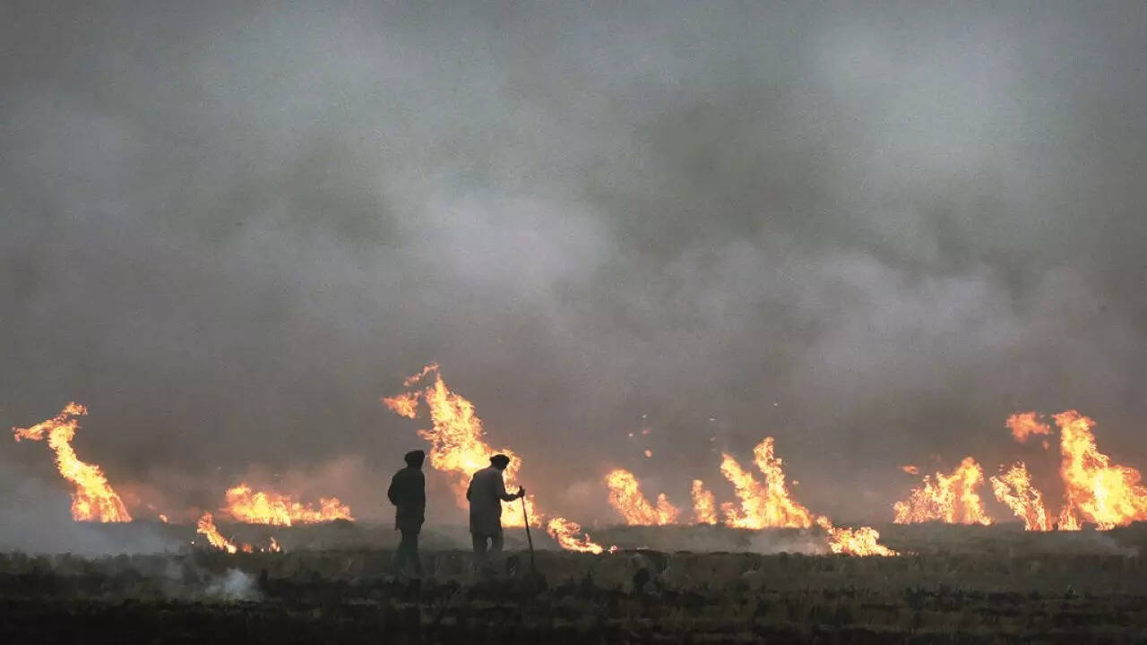 Farm fire count declining in north India but next seven days key | Delhi  News - The Times of India