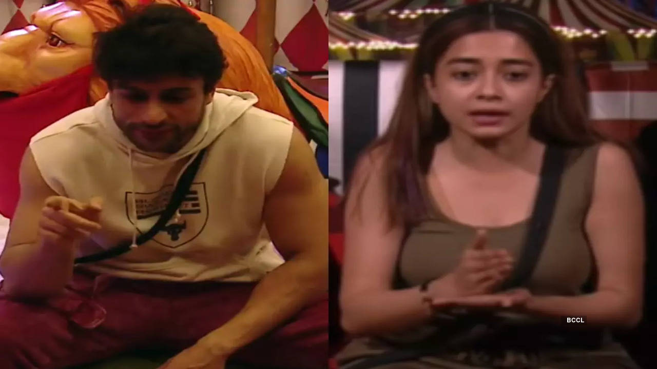 Bigg Boss 16 Shalin Bhanot expresses his wish to voluntarily exit