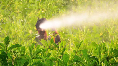 Jind: Farmers raid fertiliser shop
