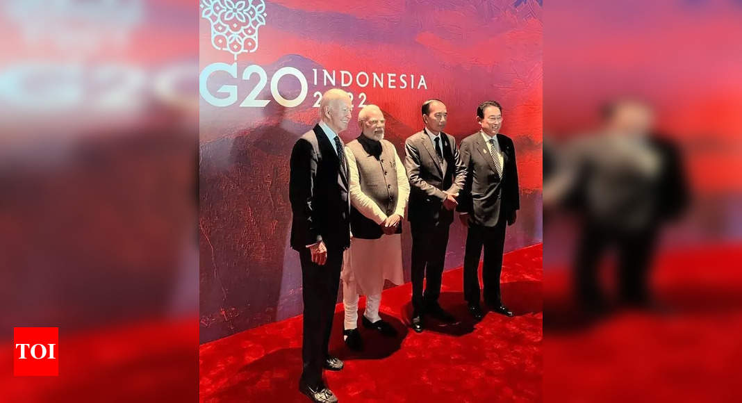 India played essential role in negotiating G20 declaration: White House | India News – Times of India