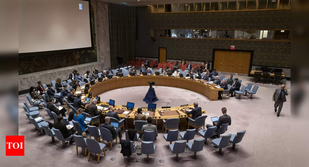 France voices support for India, 3 other nations as permanent UNSC members | India News – Times of India