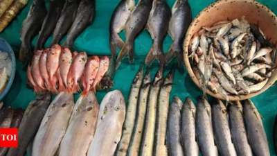 Chikkamagaluru: Drop in prices leads to huge demand for sea fish in Malnad