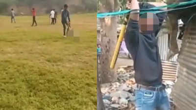 Students beat pregnant dog to death in southeast Delhi